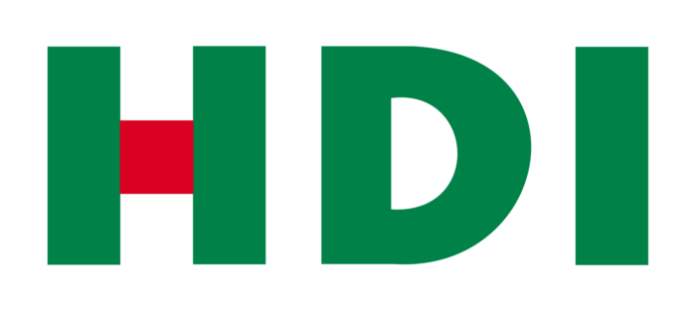 Unsere Projekte im HDI